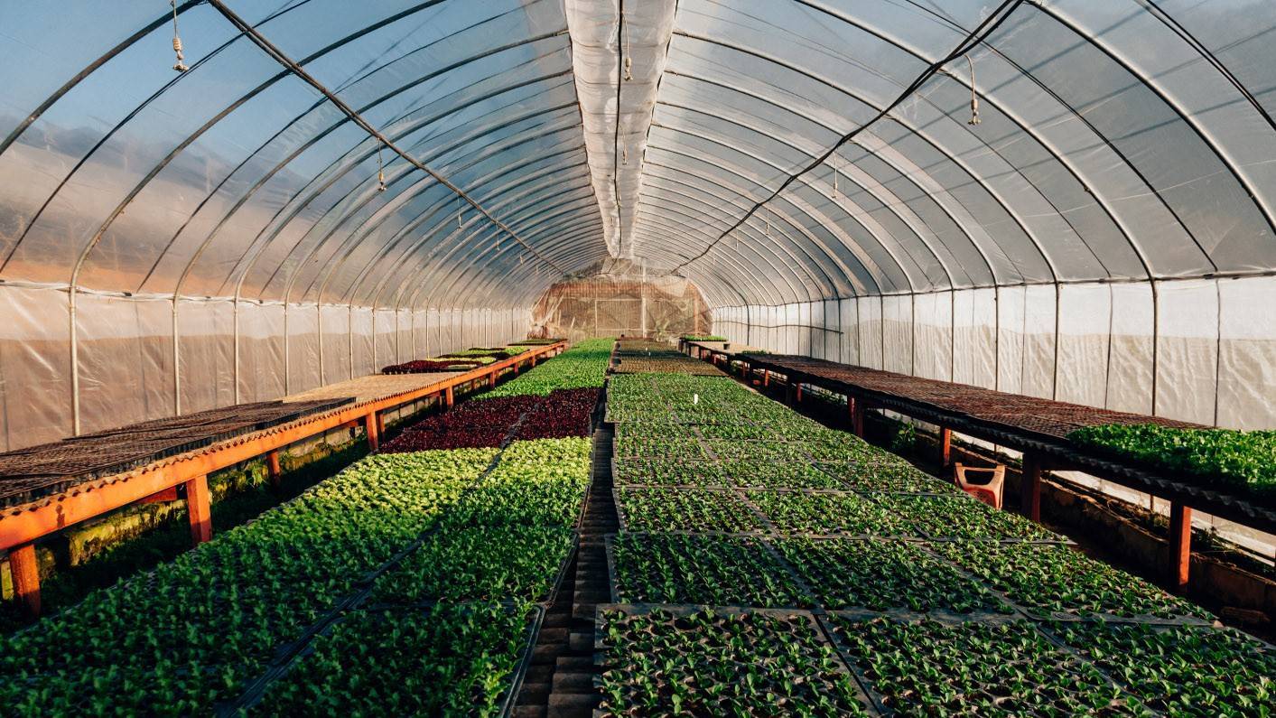 proyecto LIFE NextFUMIGREEN